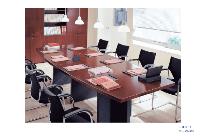 Mesa de reuniones para 10 personas